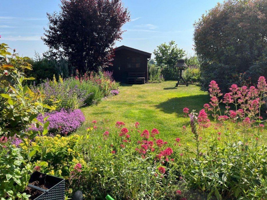Gartenimpression Sommer Doppelhaush�lfte Elsdorf