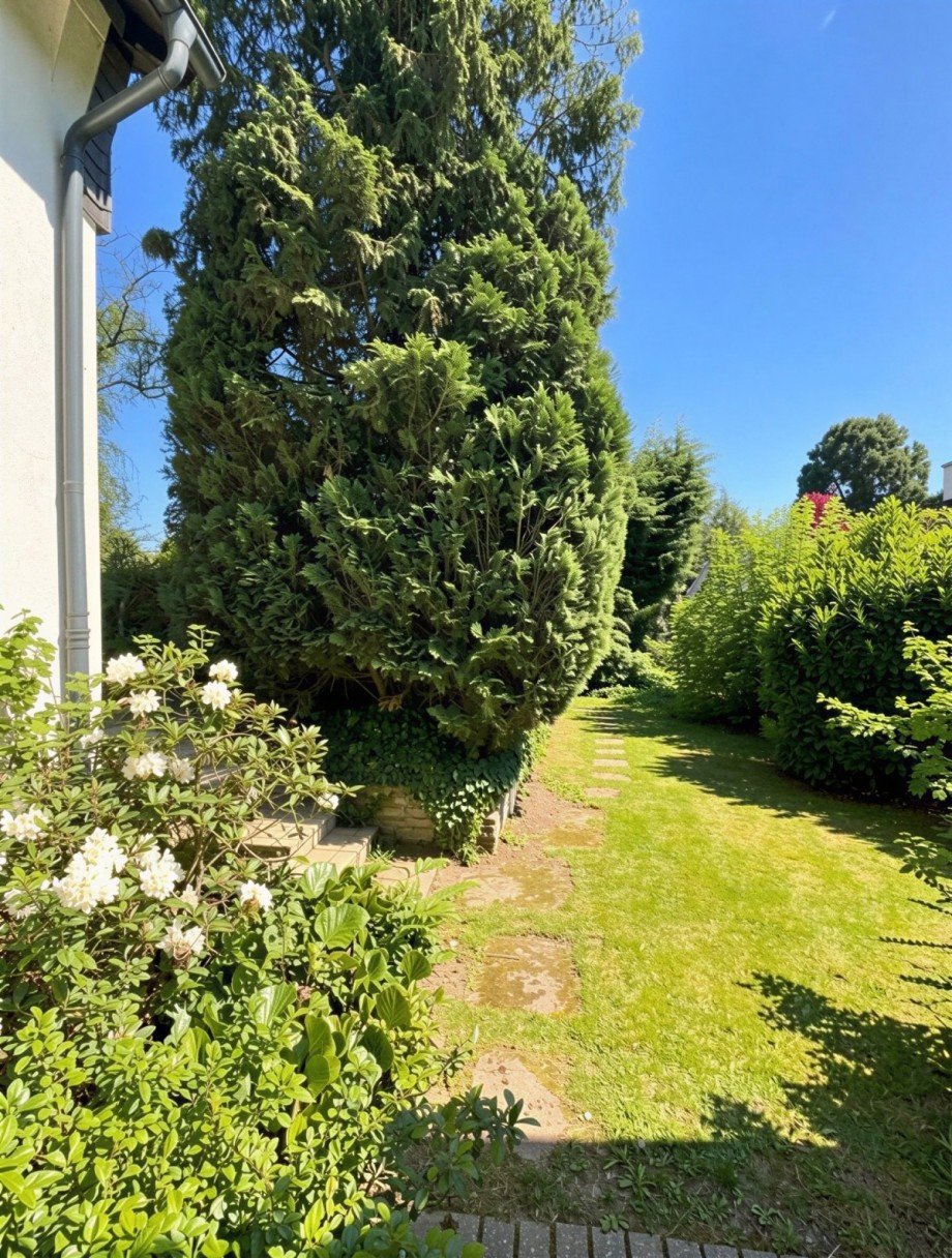 Gartenimpressionen Einfamilienhaus Krefeld