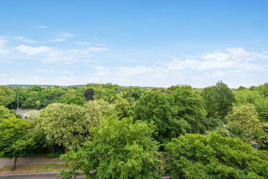 Ausblick Parkseite Etagenwohnung D�sseldorf